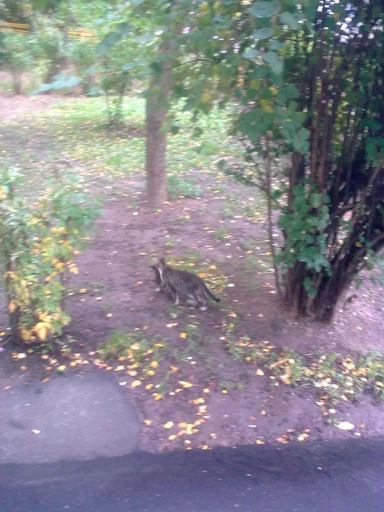 Валерий Валерьевич | Москва