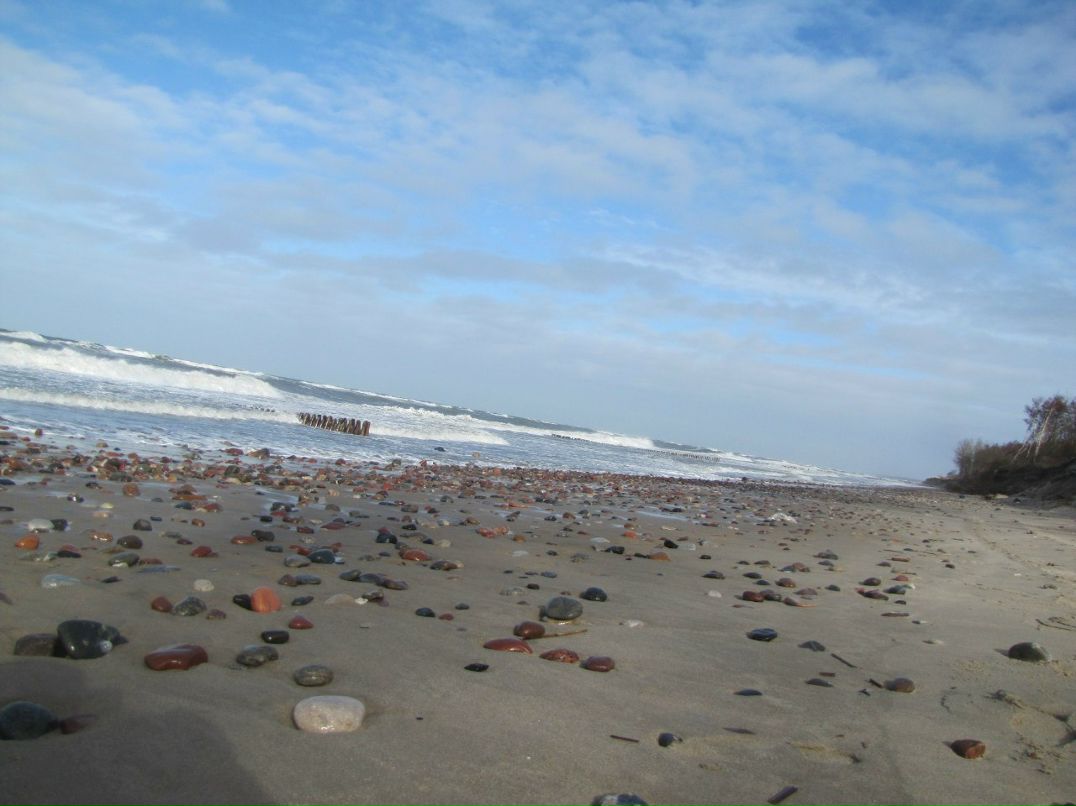 Денис Орлов | Калининград