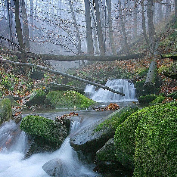 №10, Юра Семенов, Одесса №10, Юра Семенов, Одесса