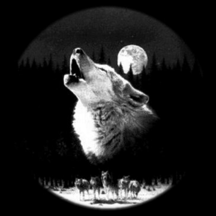 Дарья Кривова | Пенза