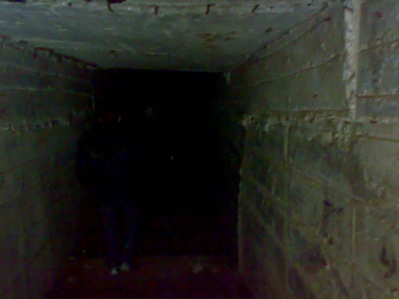 Никита Ванькин | Москва