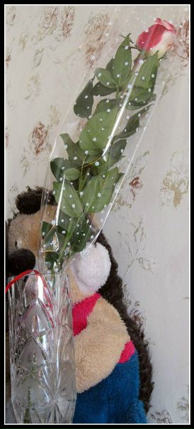 №170, Оля Шимина, 31 год, Нижнекамск №170, Оля Шимина, 31 год, Нижнекамск