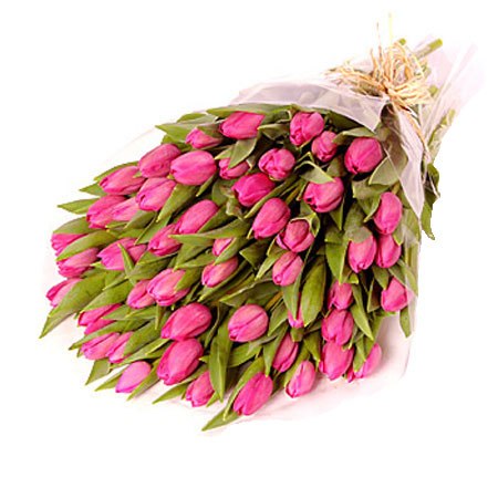 Светлана Теймурова | Улан-Удэ