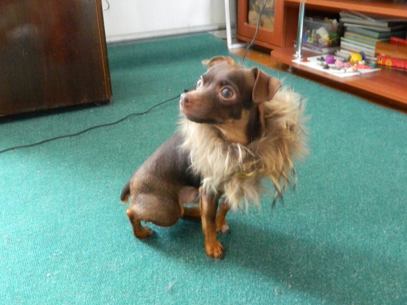 Оксана Бельская | Ульяновск