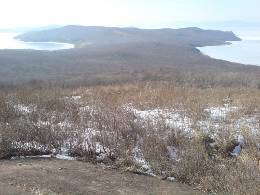 Павел Дерикьянц | Краснодар