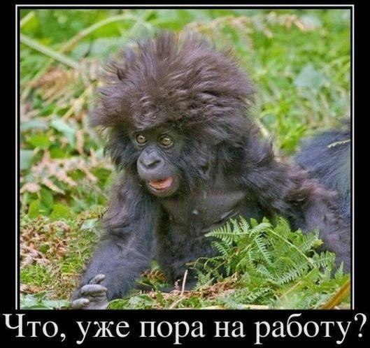 №120, Наталия Кольцова, Санкт-Петербург №120, Наталия Кольцова, Санкт-Петербург