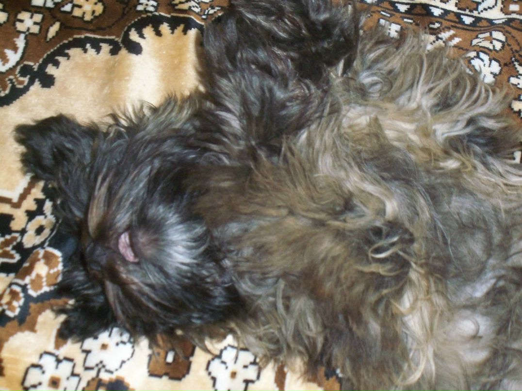 Оксана Ровенко | Бор