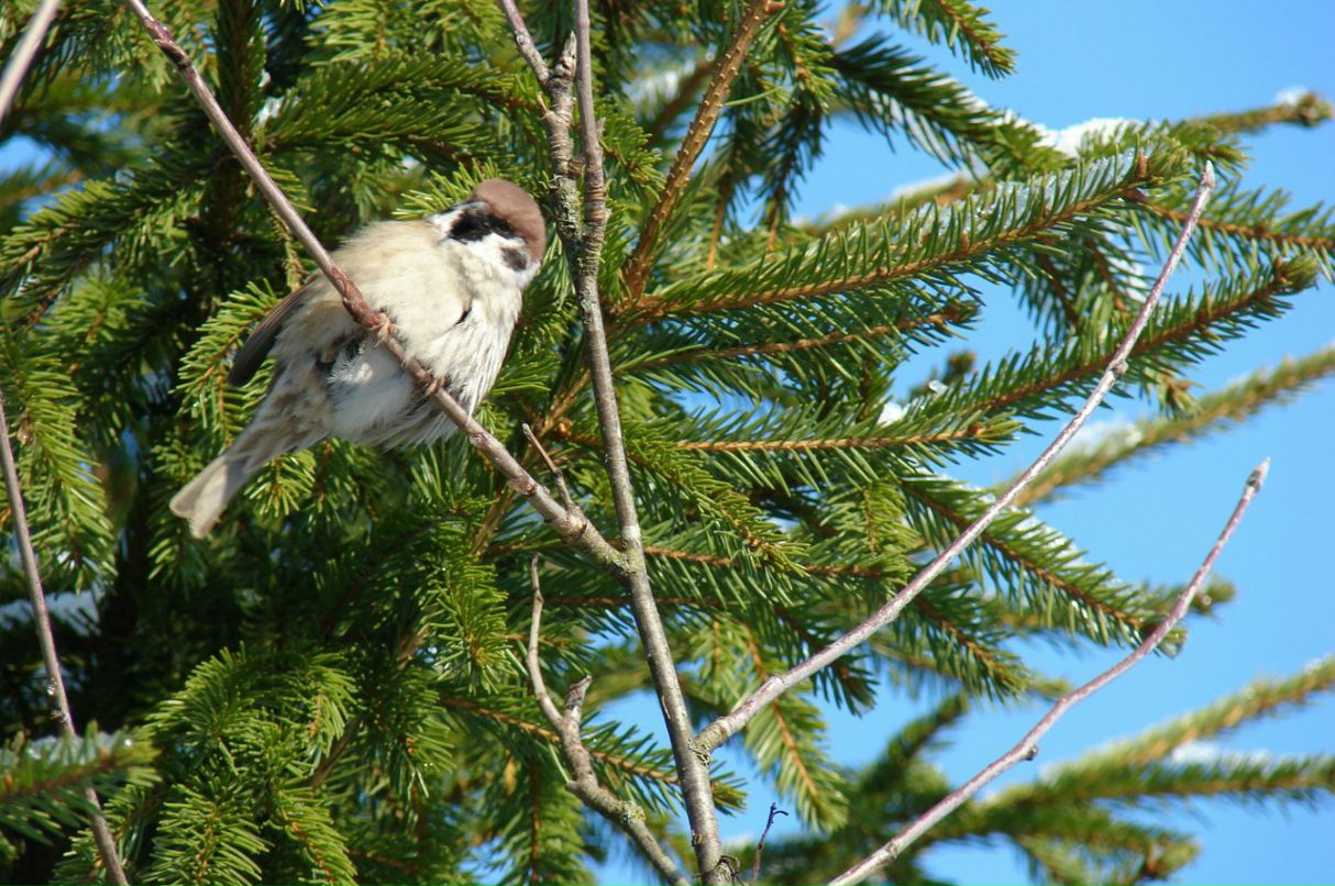 Любовь Громова | Санкт-Петербург