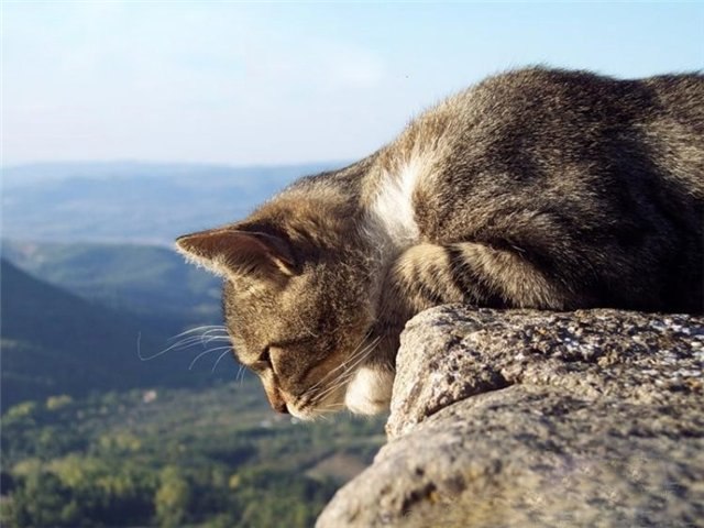 Анна Шестова | Донецк