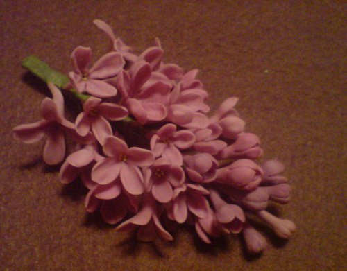 Римма Баблоян Fate | Ростов-на-Дону