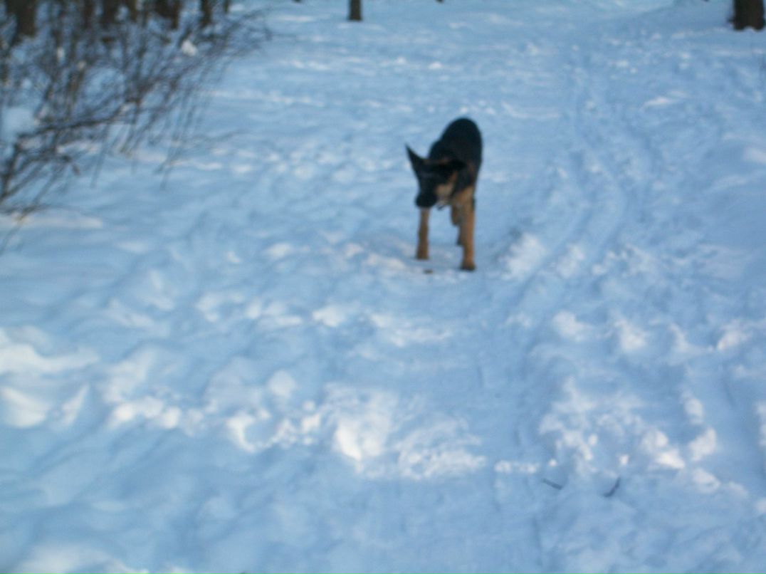 Зинаида Чернышова | Полтава