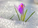 Фотография Журавлёвой Ларисы