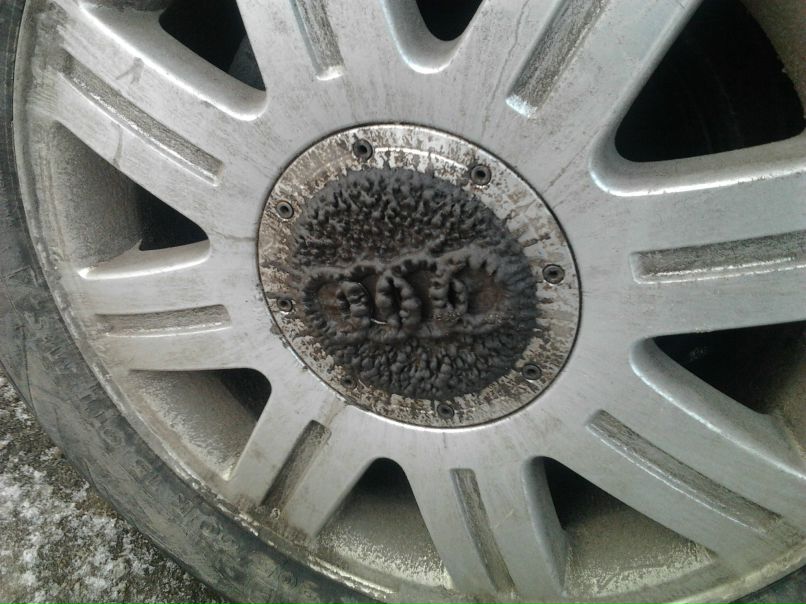 Алексей Михалёв | Ярославль