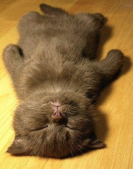 Данилка Окулов | Пермь