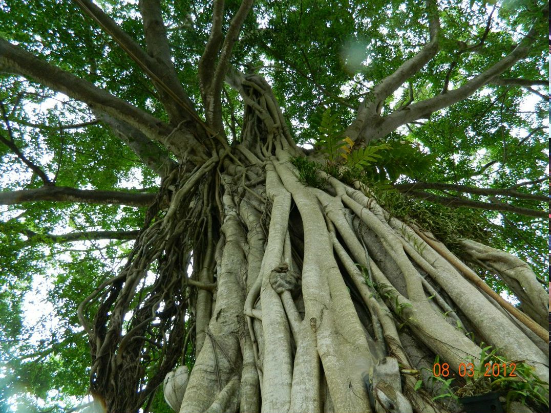 Михаил Полищук | Санкт-Петербург
