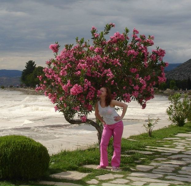 №9, Олеся Сахарова №9, Олеся Сахарова