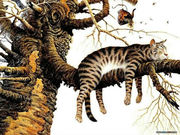 №2, Евгения Липинскас, 29.6.1988 №2, Евгения Липинскас, 29.6.1988