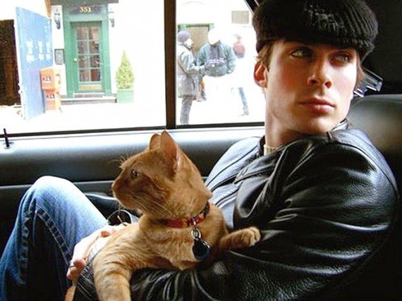 Петр Иванов | Новосибирск