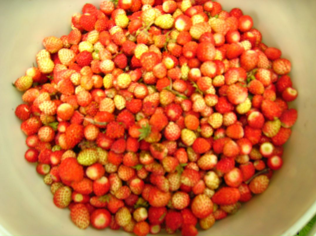 Надежда Якобчук | Хмельницкий