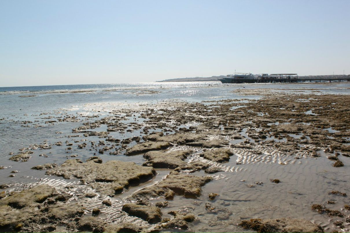 Антон Савкин | Москва