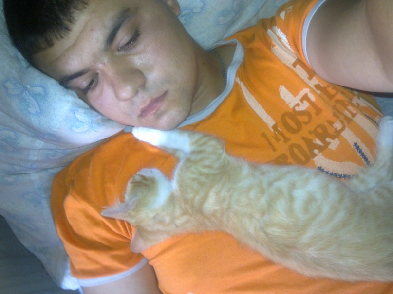 Александр Слепенчук | Кошки