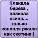 Фотография Паша Малахов