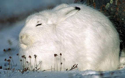 Максим Заяц | Минск