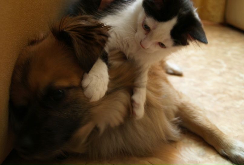 Настюша Петрищева | Красноярск