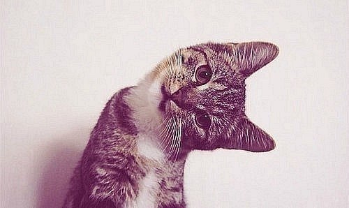 Надежда Яковлева | Екатеринбург