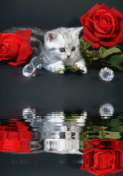 Наталия Дуйчак | Тячев