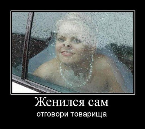 Александр Мехта | Гомель