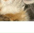 Юлия Тюликова | Ростов-на-Дону