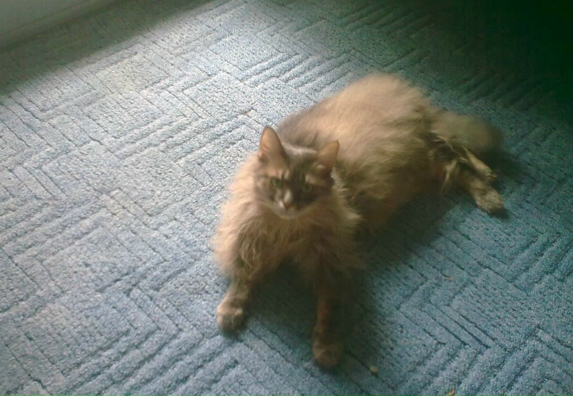 Юлия Пушкина | 