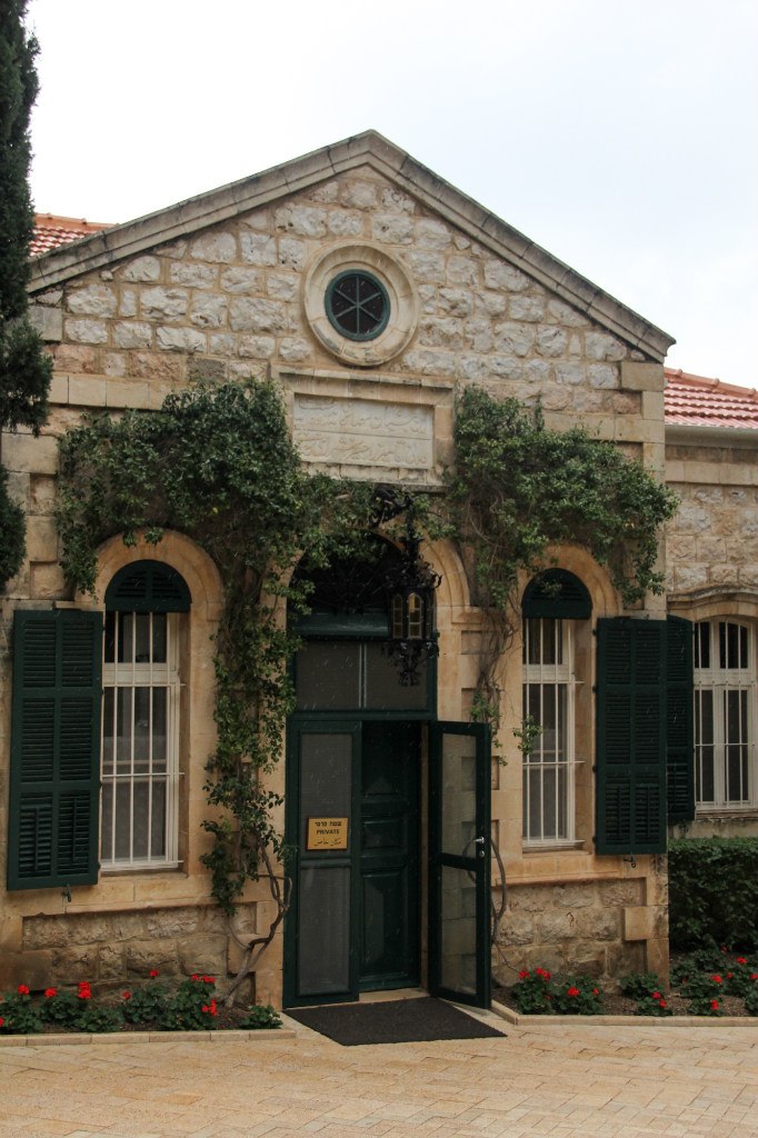 Алёна Дивнич | Санкт-Петербург