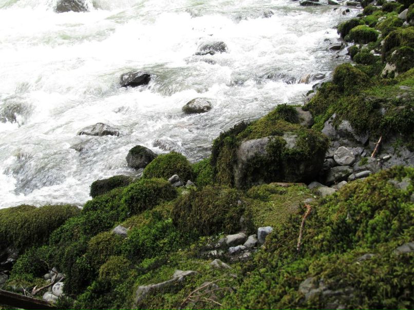 Настенька Осипова | Москва