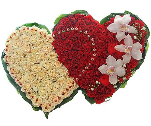 Аня Самодрина Коз | Днепр (Днепропетровск)