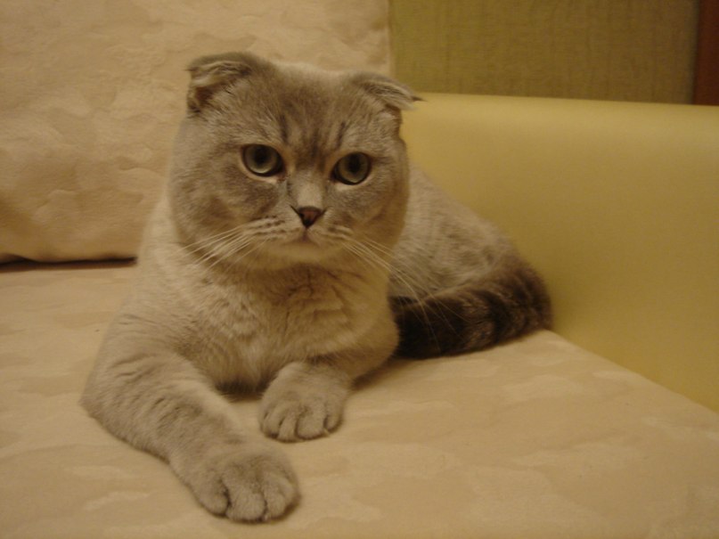 Анна Ревенкова | Минск