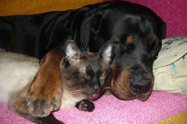 №128, Екатерина Трунилова, 36 лет, Оренбург №128, Екатерина Трунилова, 36 лет, Оренбург