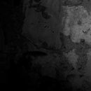 №2, Grisha Radyvonyuk, Брест №2, Grisha Radyvonyuk, Брест