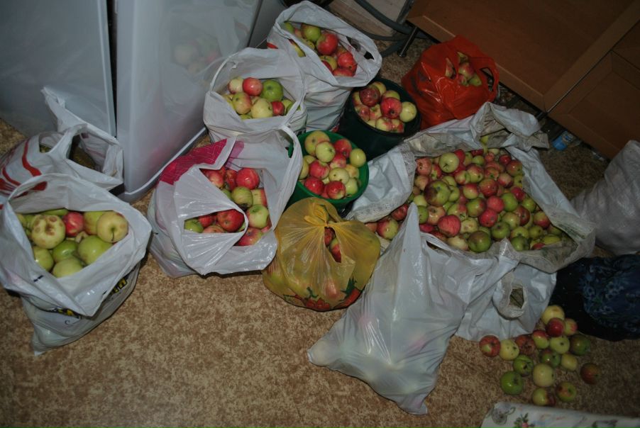 №22, Розалия Касымова, 29 лет, Санкт-Петербург №22, Розалия Касымова, 29 лет, Санкт-Петербург