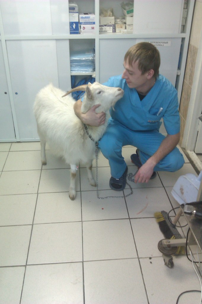 Андрей Багатов | Новосибирск