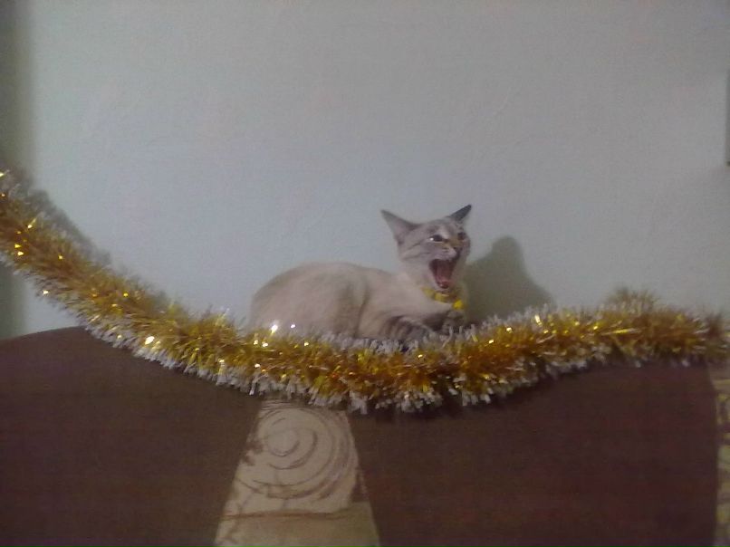 Андрей Терещук | Братск