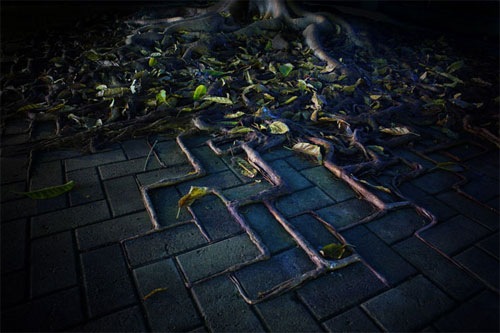 №62, Дмитрий Фисан, Нахабино №62, Дмитрий Фисан, Нахабино