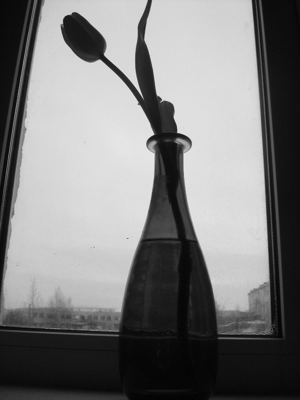 Мария Машина | Мурманск