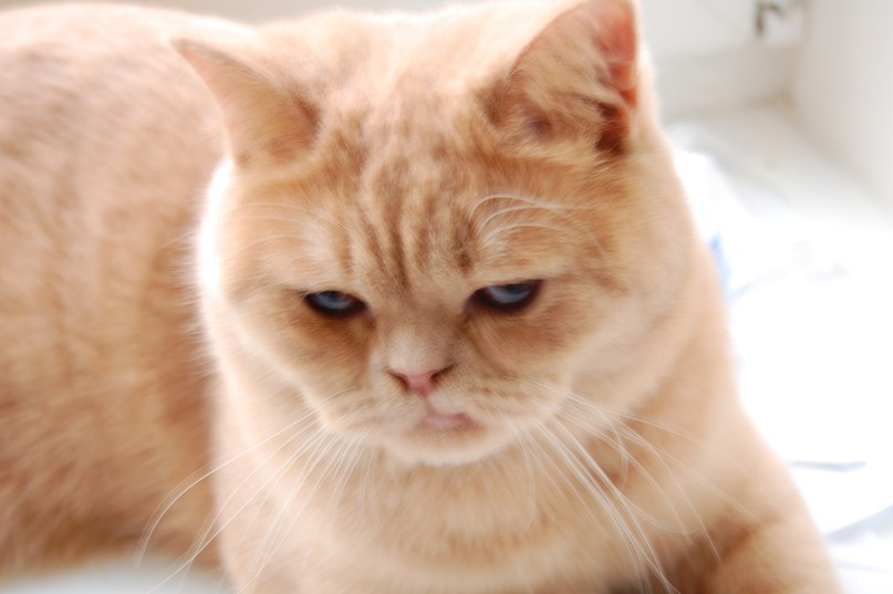 Владислав Супрун {SuPer} | Киев