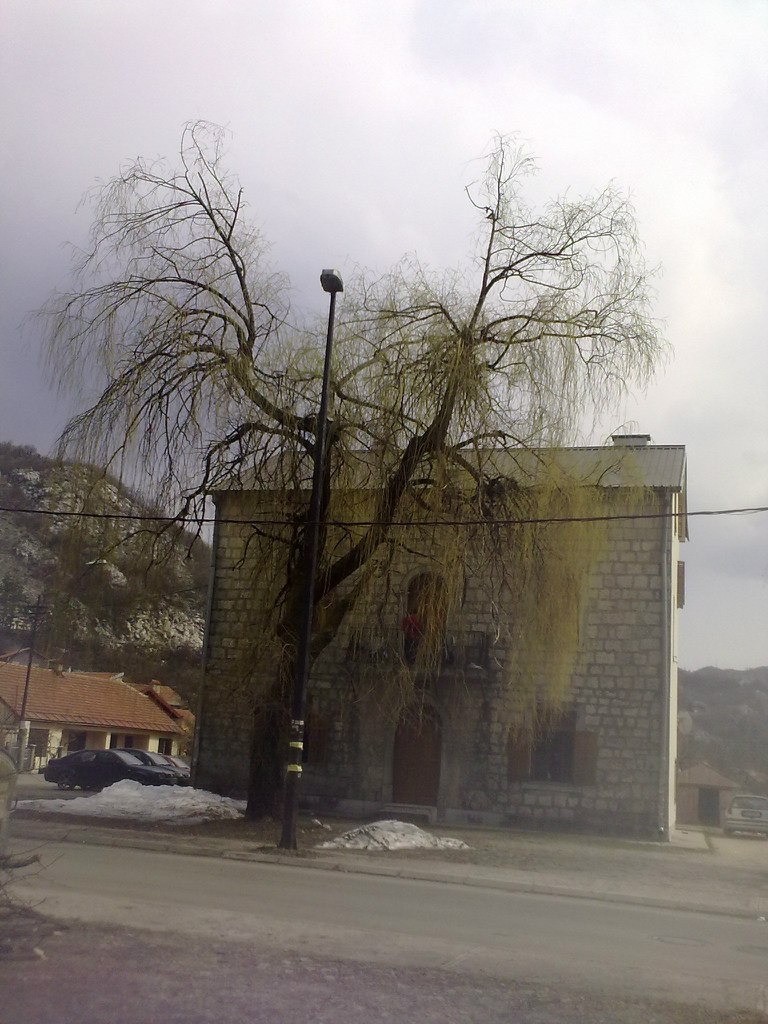 Ольга Алпатова | Иркутск