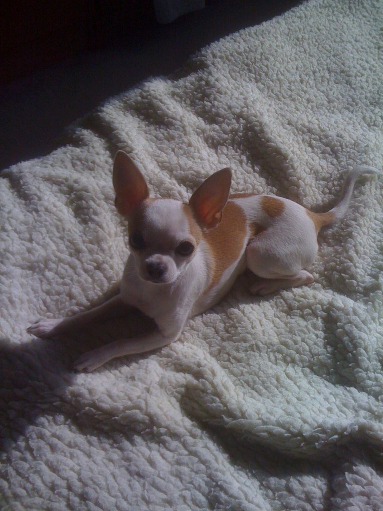 Илья Желнов | Москва