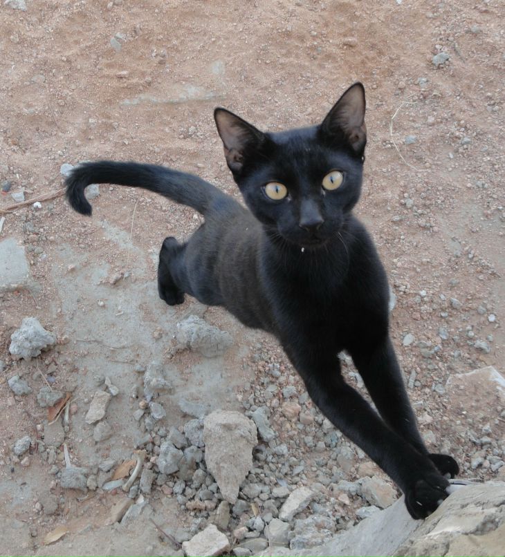 Вера Соколова | Санкт-Петербург