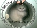 Фотография Сергеевой Даши
