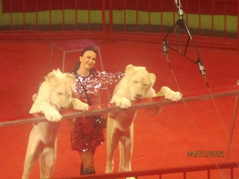 Любовь Смирнова ๑_Dee_๑ | Пермь